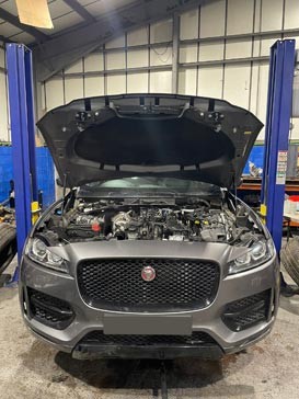 Jaguar Engine for Sale